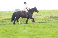 Ring 2 + 3 Ridden Champs